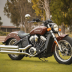 Indian Scout Rogue