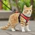 iPetoo Cat Harness and Leash Set