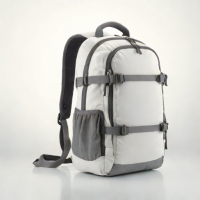 IMG (International Medical Group)