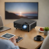 Insignia Portable LED Projector - NS-24DF310NA