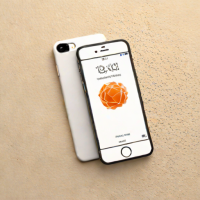 IFindMyiPhone