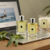 Jo Malone London Wood Sage & Sea Salt Cologne