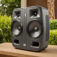 JBL VTX Series (Pair)