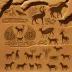 Jubbah Petroglyphs