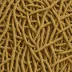 Jute