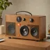 JBL Authentics 300