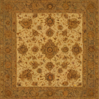 Jaipur Hand-Knotted Wool Rug