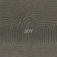 Joy Division - Unknown Pleasures