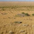 Karnabchul Steppe Reserve