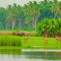 Keibul Lamja National Park