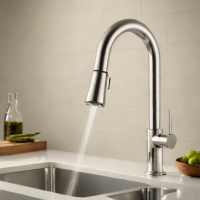 Kohler Prolific Kitchen Faucet