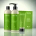 Koch Chemie GS Green Car Shampoo