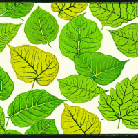 Kew Global Leaf Vein Prints