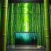 Kyoto Bamboo Forest Walk (Arashiyama)