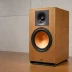 Klipsch RP-800F Subwoofer