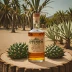 Koch El Mezcal Espadin
