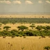 Kidepo Valley Savanna