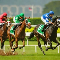Korean Derby