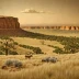 Kiowa National Grassland