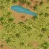 Kimberley Thornveld