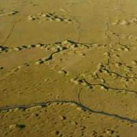 Kurai Steppe