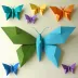 Kasahara's Butterfly