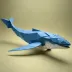 Kamiya's Humpback Whale
