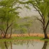 Keoladeo National Park