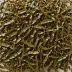 Kombu (Saccharina japonica)