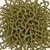 Knotted Wrack (Ascophyllum nodosum)