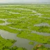 Kanwar Taal (Kabar Wetland)