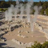 Kuirau Park fumaroles