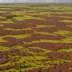 Kielderhead Moors