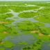 Kanjli Wetland