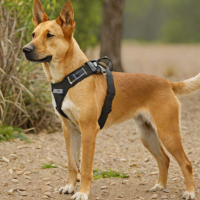 Kurgo Front-Clip Dog Harness