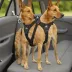 Kurgo Tru-Fit Enhanced Strength Dog Harness