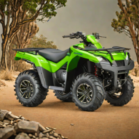Kawasaki Brute Force
