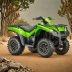 Kawasaki Brute Force