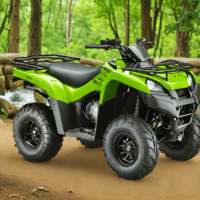 Kawasaki Brute Force 300