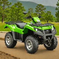Kawasaki Brute Force 750