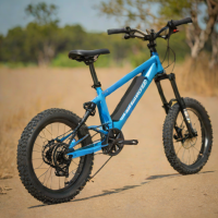Kaabo Mantis 10
