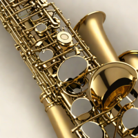 Kays Musical Instruments KAS-109 Alto Saxophone