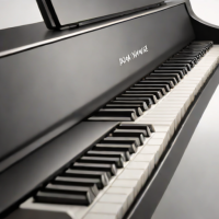 Kawai NV50 Stage Piano