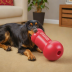 Kong Classic Dog Toy