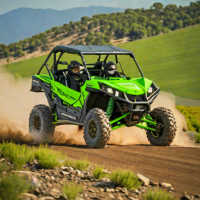 Kawasaki Teryx KRX 1000