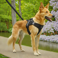 Kurgo Enhanced Strength Harness