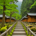 Kumano Kodo Pilgrimage Trails, Japan