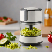 Kitchen Concepts Mini Food Chopper