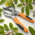Kukui Pruning Shears