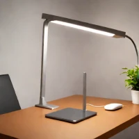 LumiCharge Smart LED Desk Lamp